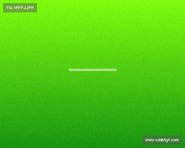 聚焦裁判赛事核心公正裁决在大型体育竞赛中的重要性及挑战应对策略